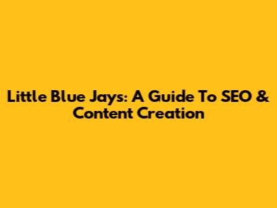 Little Blue Jays: A Guide To SEO & Content Creation