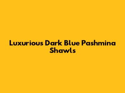 Luxurious Dark Blue Pashmina Shawls