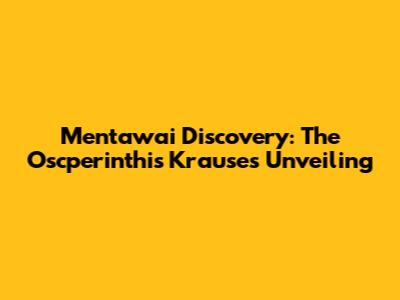 Mentawai Discovery: The Oscperinthis Krauses Unveiling