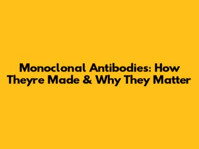 Monoclonal Antibodies: How They're Made & Why They Matter
