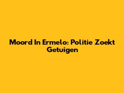 Moord In Ermelo: Politie Zoekt Getuigen