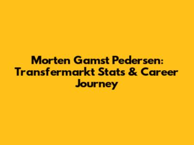 Morten Gamst Pedersen: Transfermarkt Stats & Career Journey