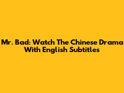 Mr. Bad: Watch The Chinese Drama With English Subtitles