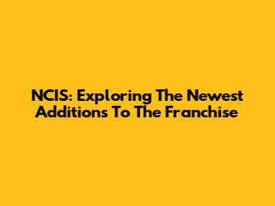 NCIS: Exploring The Newest Additions To The Franchise
