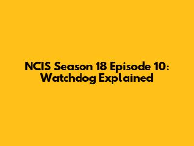 NCIS Season 18 Episode 10: 'Watchdog' Explained