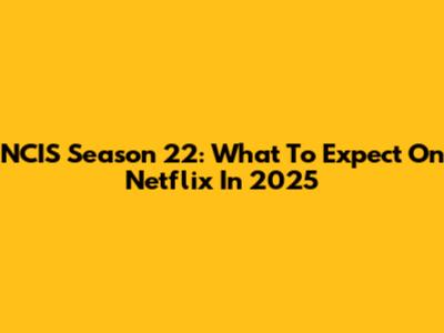 NCIS Season 22: What To Expect On Netflix In 2025