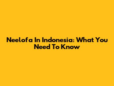 Neelofa In Indonesia: What You Need To Know