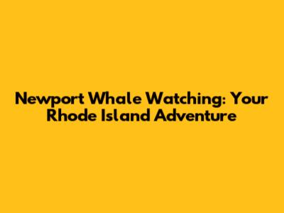 Newport Whale Watching: Your Rhode Island Adventure