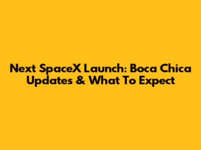 Next SpaceX Launch: Boca Chica Updates & What To Expect