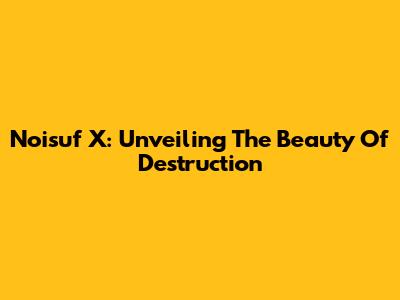 Noisuf X: Unveiling The Beauty Of Destruction
