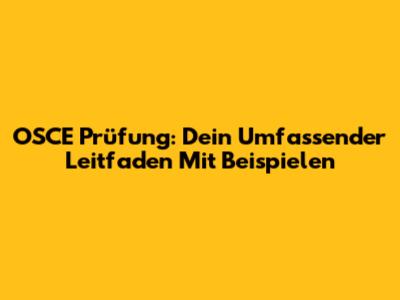 OSCE Prüfung: Dein Umfassender Leitfaden Mit Beispielen