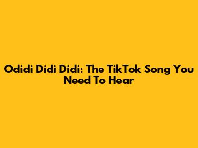 Odidi Didi Didi: The TikTok Song You Need To Hear