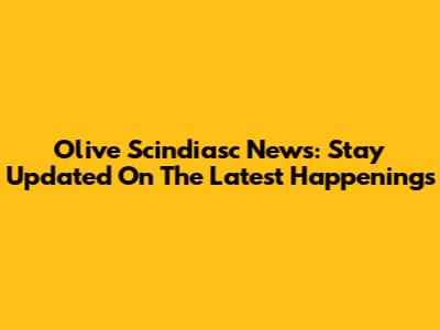 Olive Scindiasc News: Stay Updated On The Latest Happenings