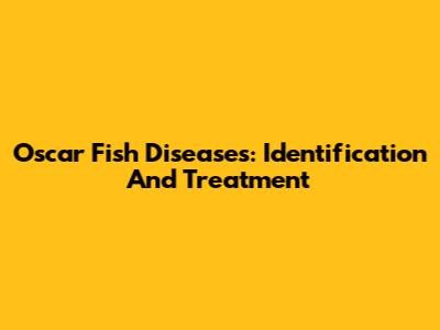 Oscar Fish Diseases: Identification And Treatment