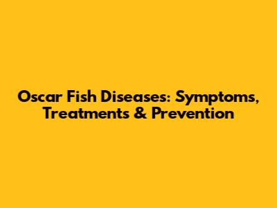 Oscar Fish Diseases: Symptoms, Treatments & Prevention