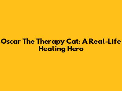 Oscar The Therapy Cat: A Real-Life Healing Hero