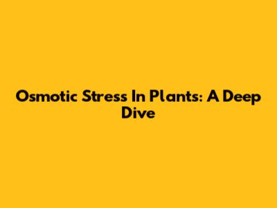 Osmotic Stress In Plants: A Deep Dive