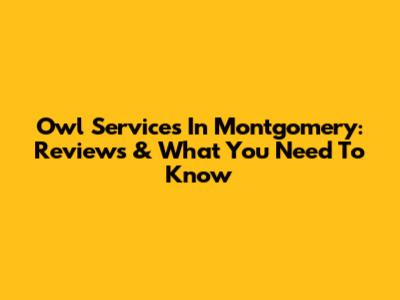 Owl Services In Montgomery: Reviews & What You Need To Know