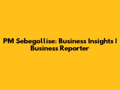 PM Sebegollise: Business Insights | Business Reporter
