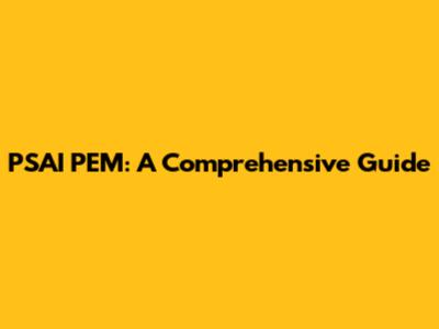 PSAI PEM: A Comprehensive Guide