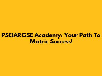 PSEIARGSE Academy: Your Path To Matric Success!