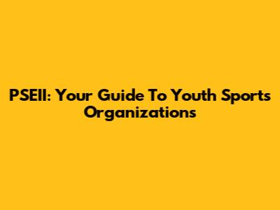 PSEII: Your Guide To Youth Sports Organizations