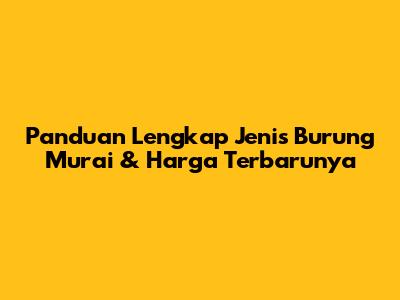 Panduan Lengkap Jenis Burung Murai & Harga Terbarunya