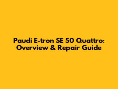 Paudi E-tron SE 50 Quattro: Overview & Repair Guide