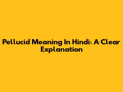 Pellucid Meaning In Hindi: A Clear Explanation