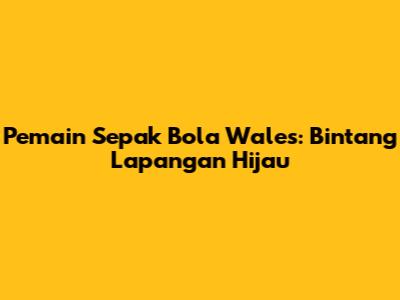 Pemain Sepak Bola Wales: Bintang Lapangan Hijau