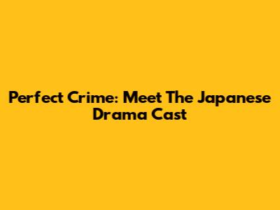 Perfect Crime: Meet The Japanese Drama Cast