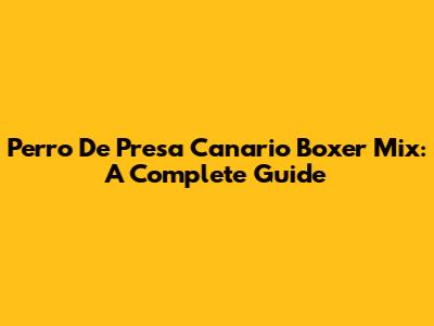 Perro De Presa Canario Boxer Mix: A Complete Guide
