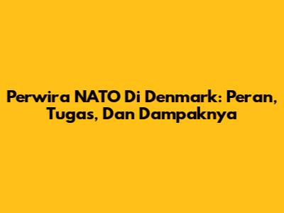 Perwira NATO Di Denmark: Peran, Tugas, Dan Dampaknya