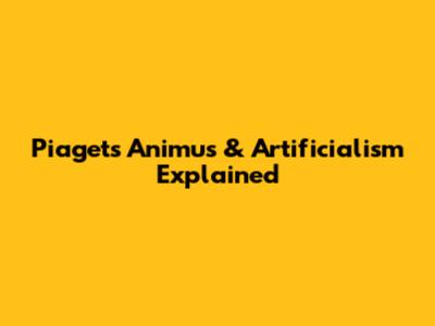 Piaget's Animus & Artificialism Explained