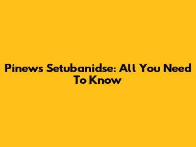 Pinews Setubanidse: All You Need To Know