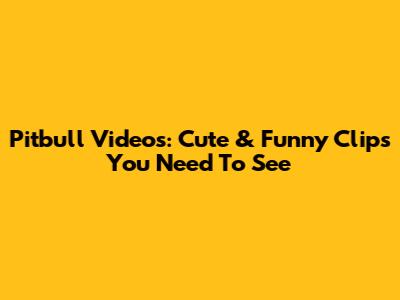 Pitbull Videos: Cute & Funny Clips You Need To See