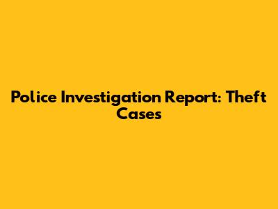 Police Investigation Report: Theft Cases