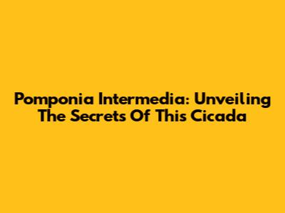 Pomponia Intermedia: Unveiling The Secrets Of This Cicada