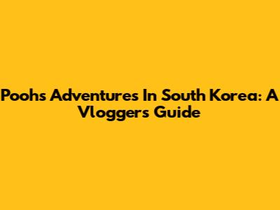 Pooh's Adventures In South Korea: A Vloggers Guide