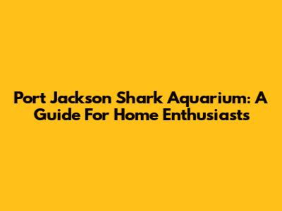 Port Jackson Shark Aquarium: A Guide For Home Enthusiasts
