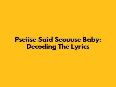 Pseiise Said Seouuse Baby: Decoding The Lyrics