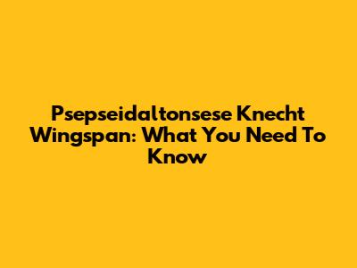Psepseidaltonsese Knecht Wingspan: What You Need To Know