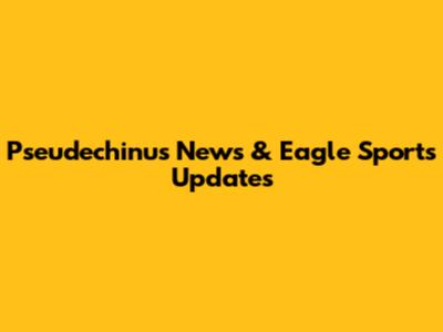 Pseudechinus News & Eagle Sports Updates