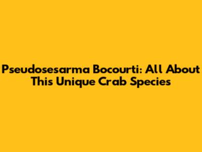 Pseudosesarma Bocourti: All About This Unique Crab Species