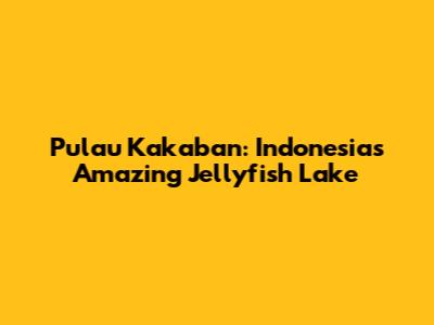 Pulau Kakaban: Indonesia's Amazing Jellyfish Lake