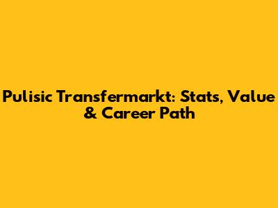Pulisic Transfermarkt: Stats, Value & Career Path
