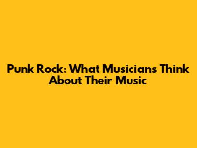 Punk Rock: What Musicians Think About Their Music