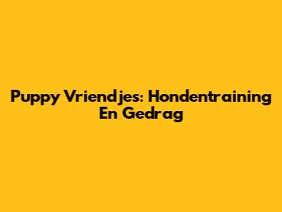 Puppy Vriendjes: Hondentraining En Gedrag