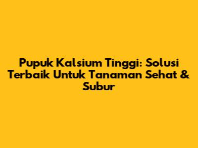 Pupuk Kalsium Tinggi: Solusi Terbaik Untuk Tanaman Sehat & Subur
