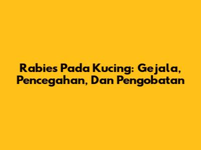 Rabies Pada Kucing: Gejala, Pencegahan, Dan Pengobatan